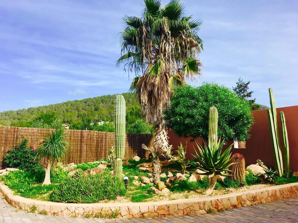 Villa Evie San Antonio